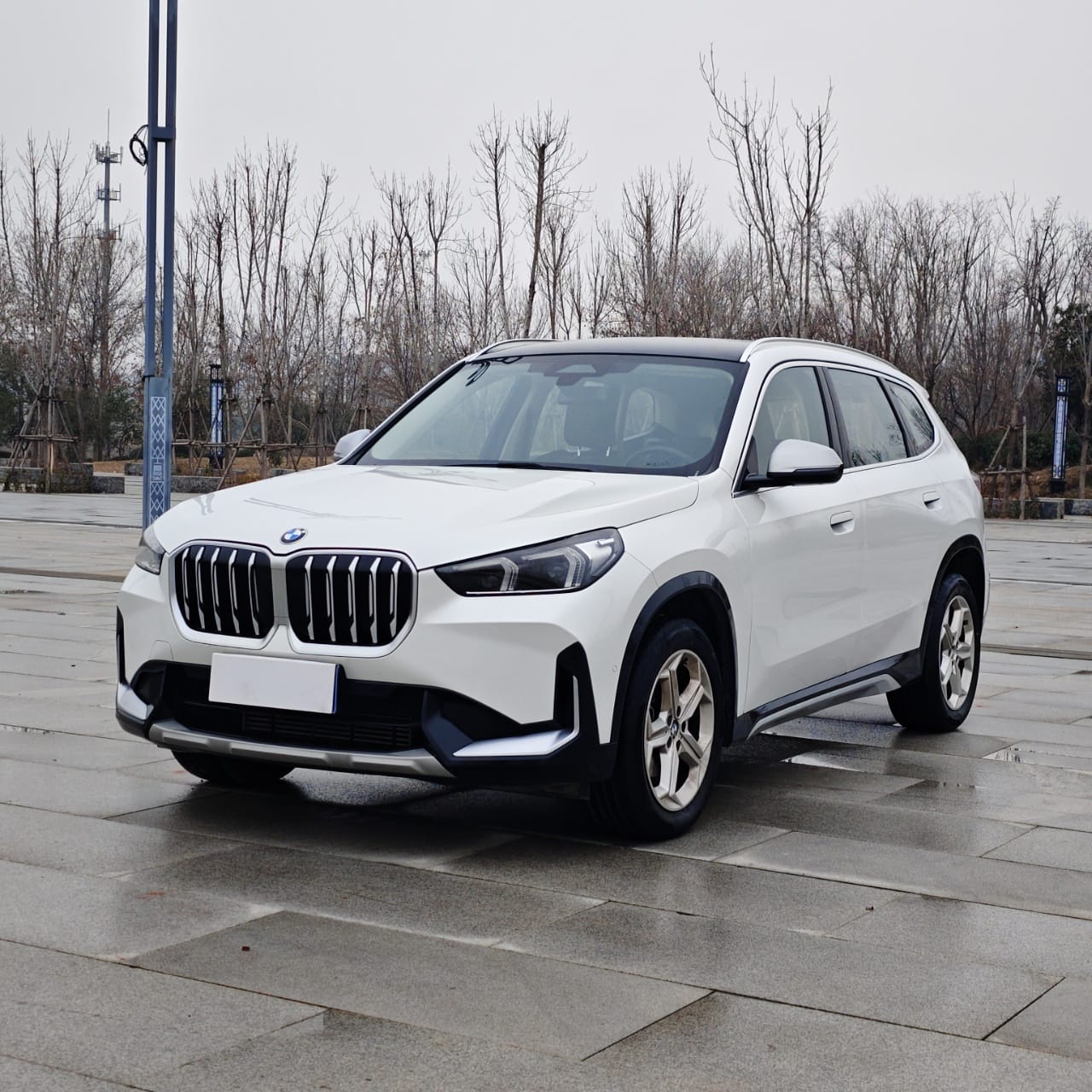 BMW X1 sDrive20Li