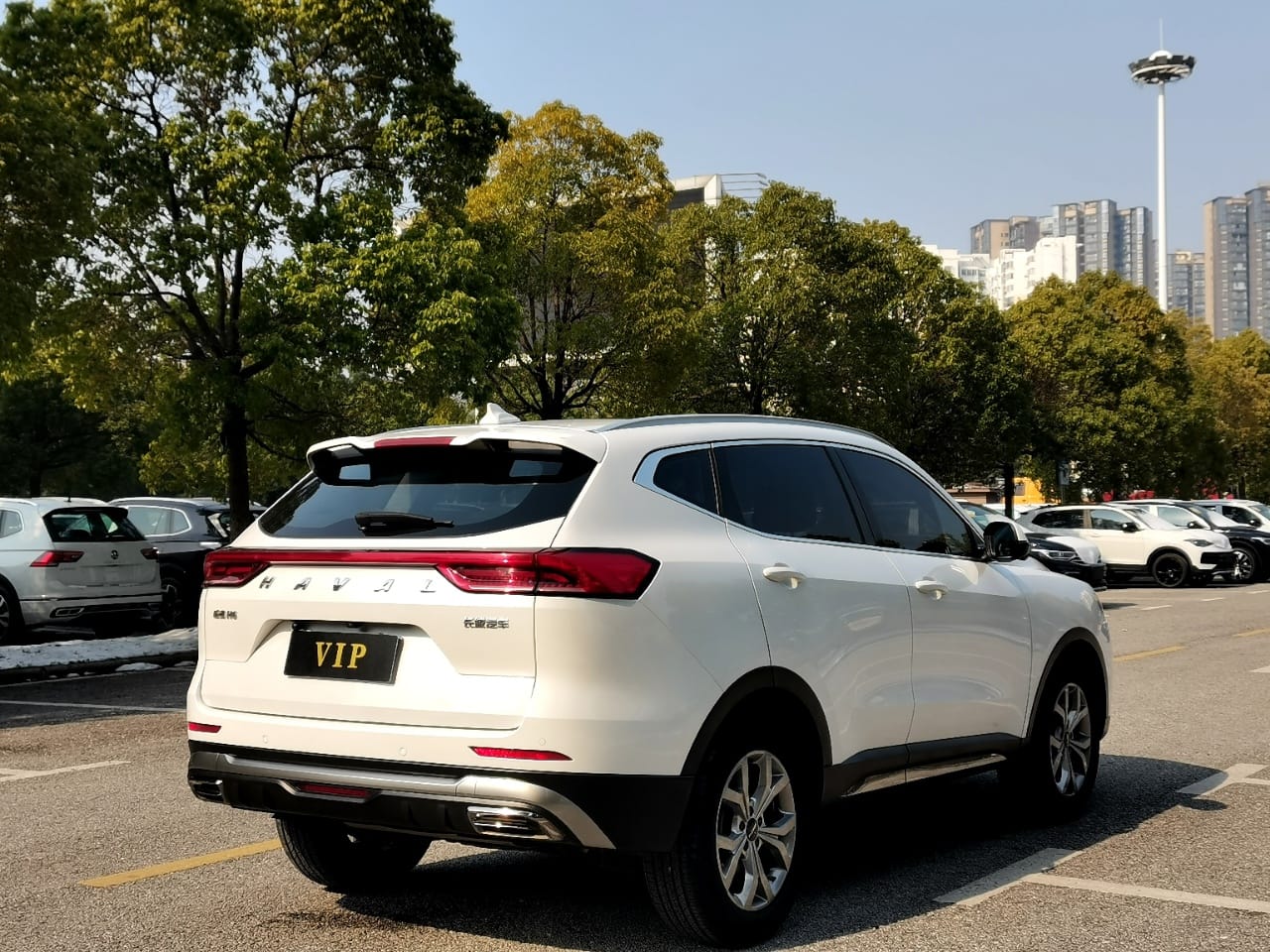 Haval H6 1.5T National Trend Edition