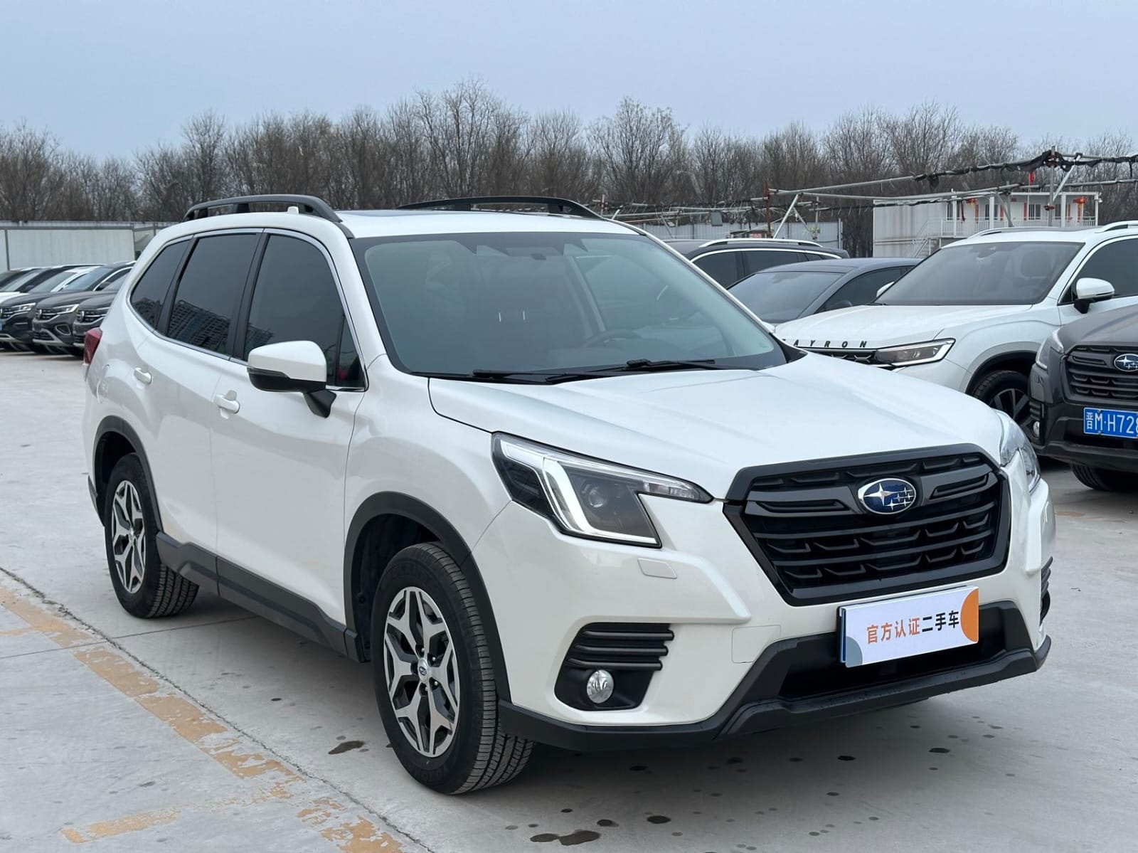Subaru Forester 2.0i AWD Deluxe Edition EyeSight