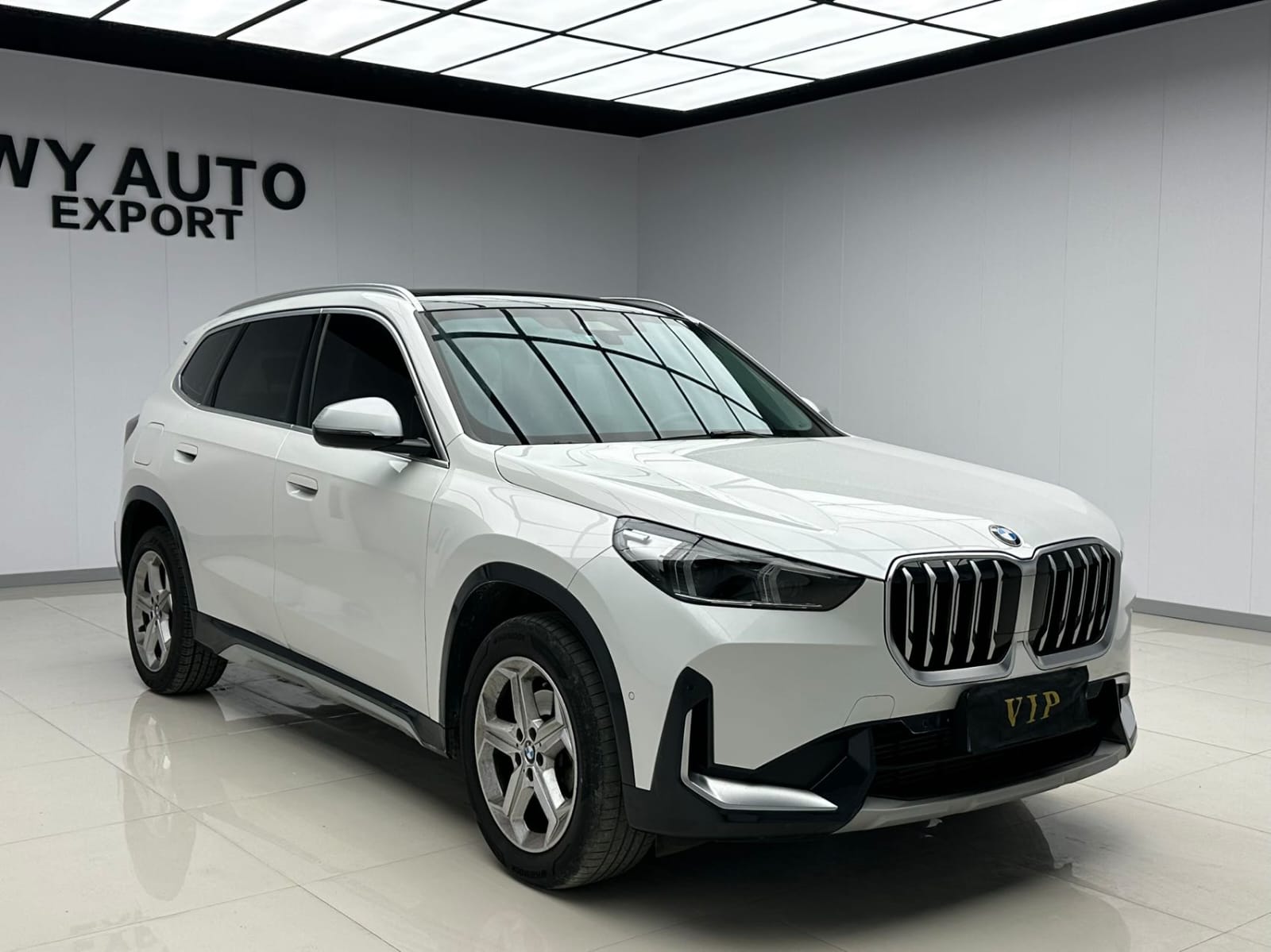 BMW X1 sDrive20Li