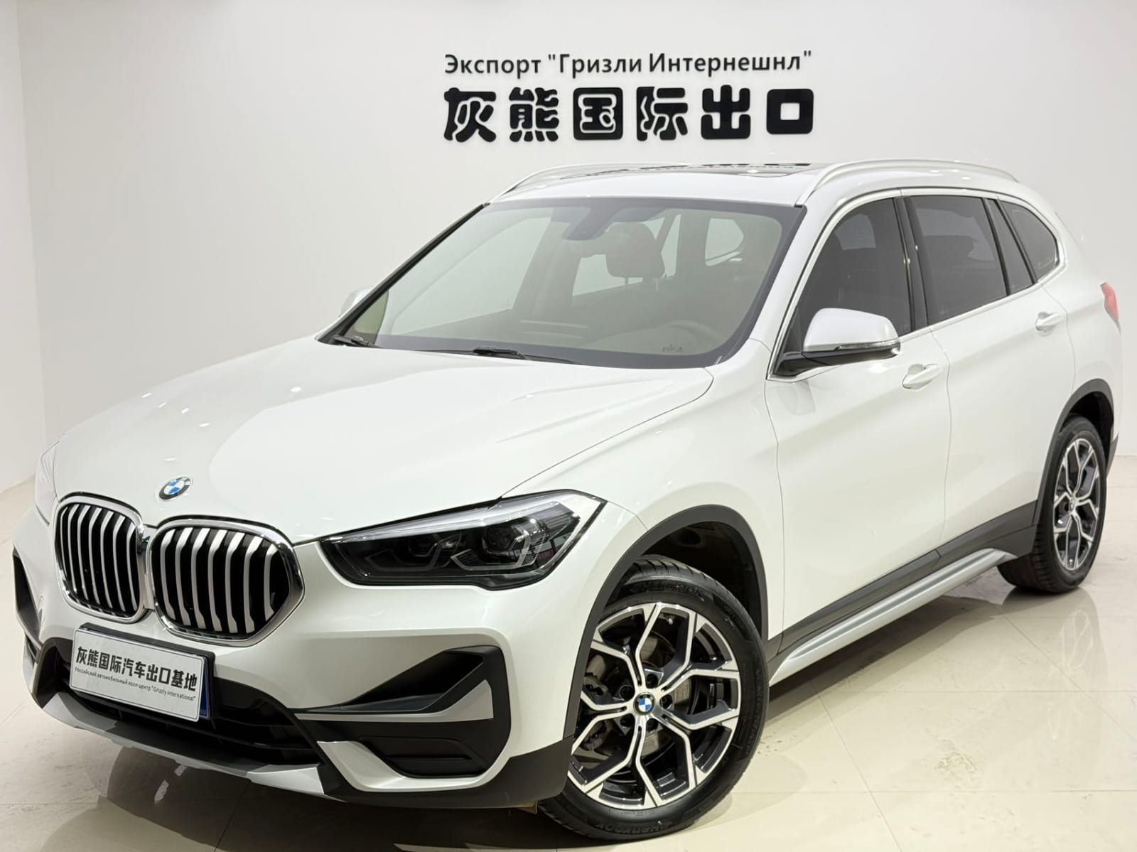 BMW X1 sDrive20Li