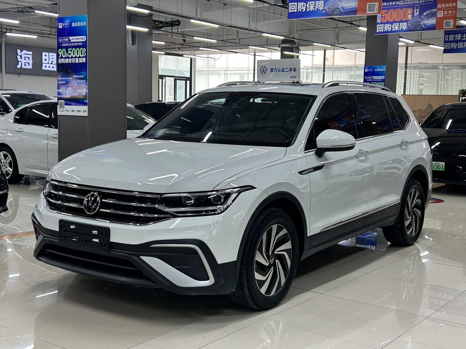 Volkswagen Tiguan L 280TSI Tide Creator Limited Edition