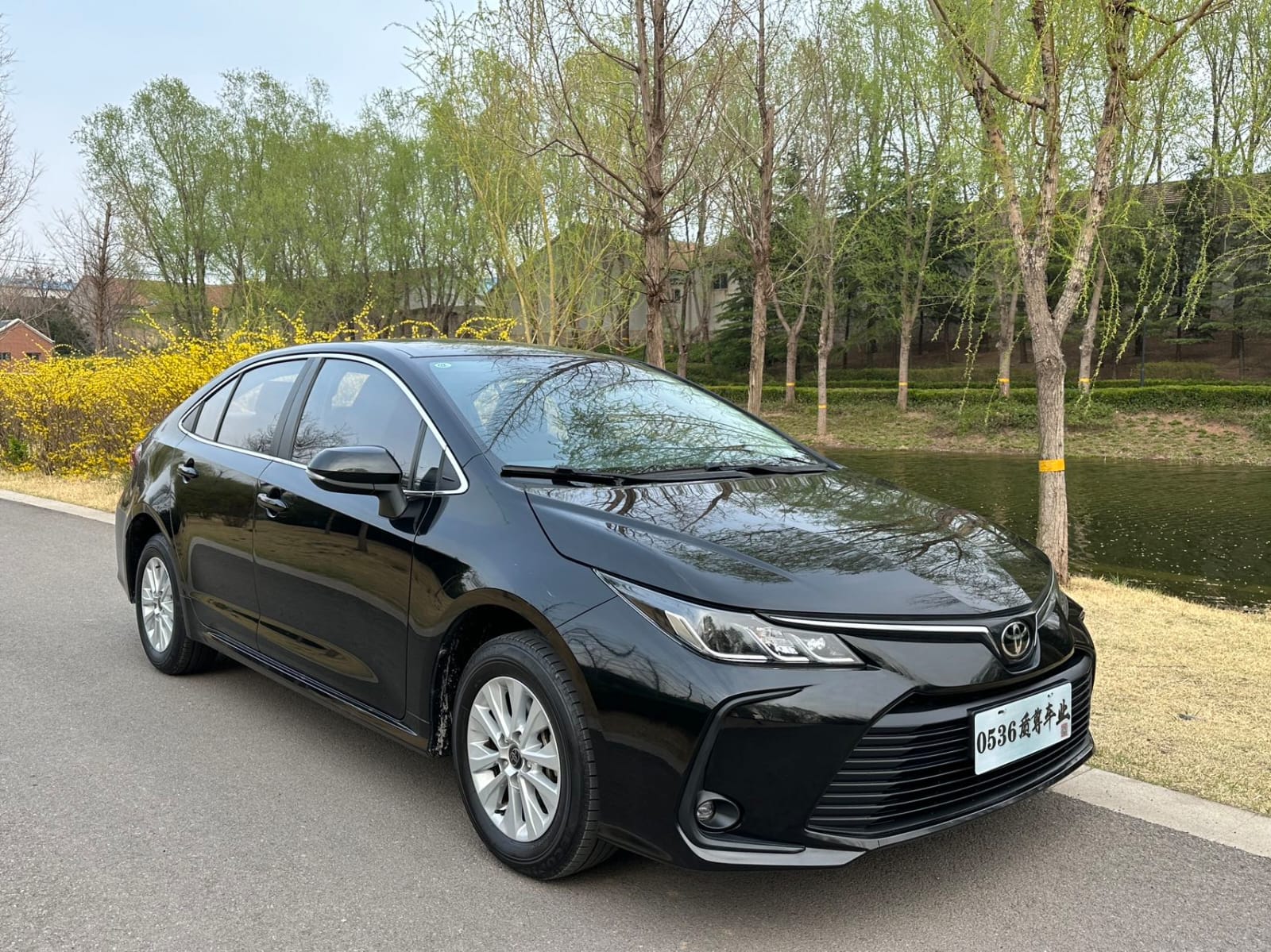 Toyota Corolla 1.2T Pioneer Edition