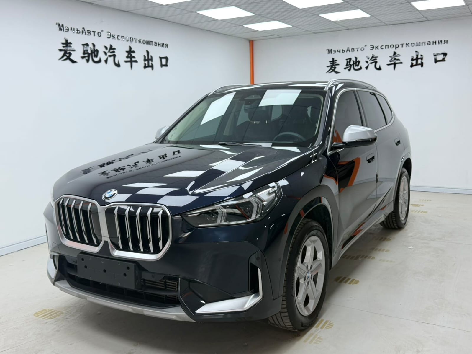 BMW X1 sDrive20Li X
