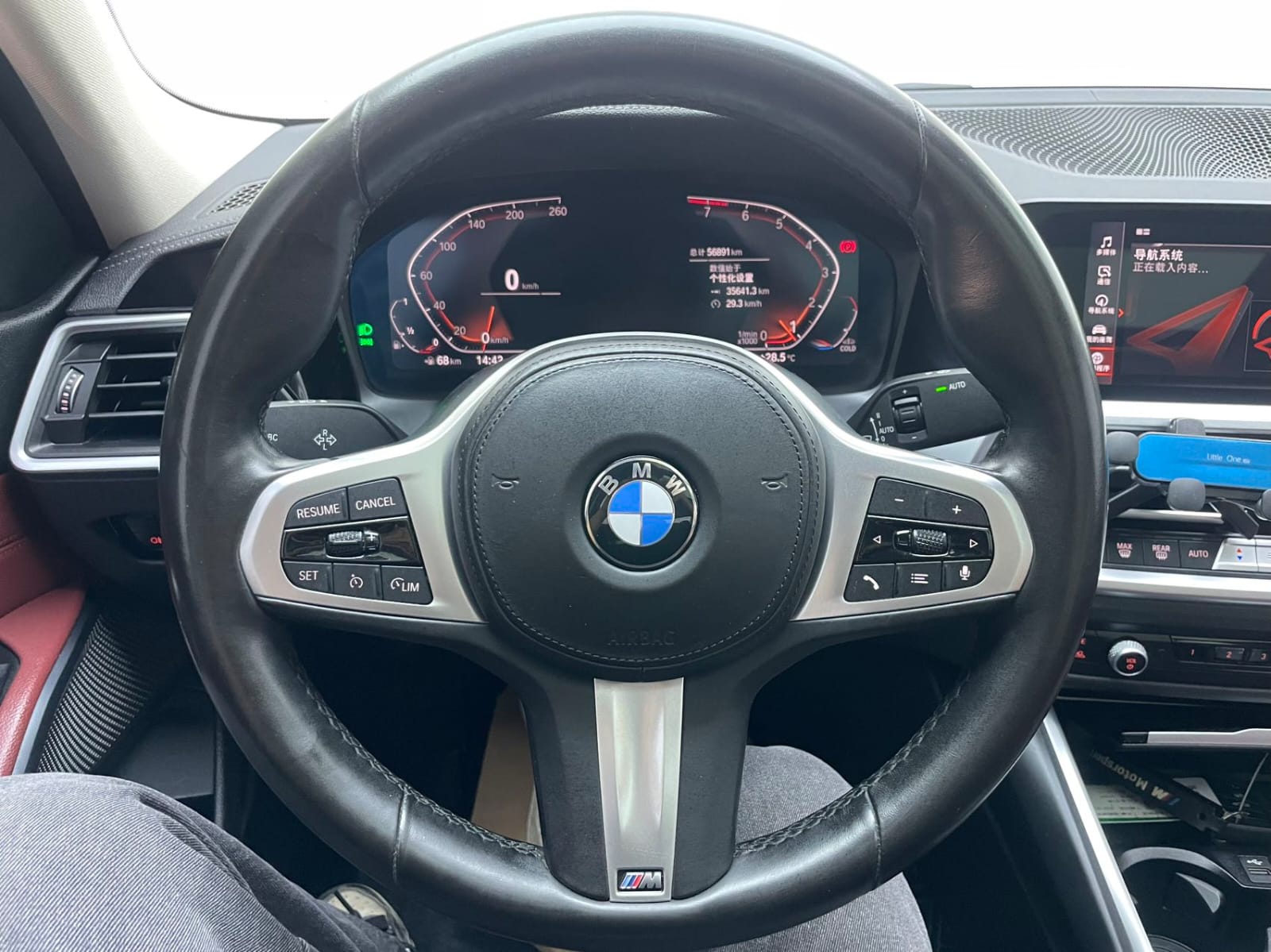 BMW 3 Series 320Li M