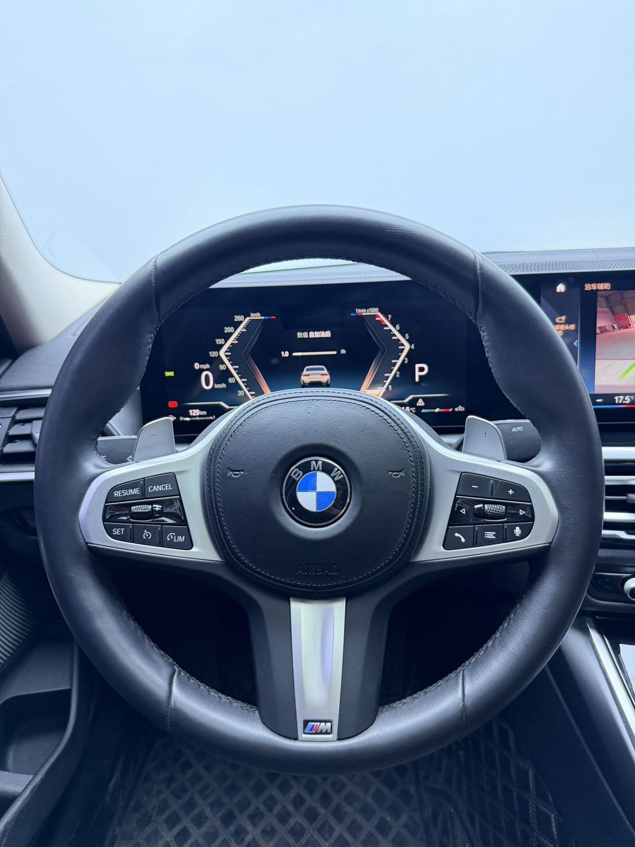 BMW 3-Series 320Li M Sport Package