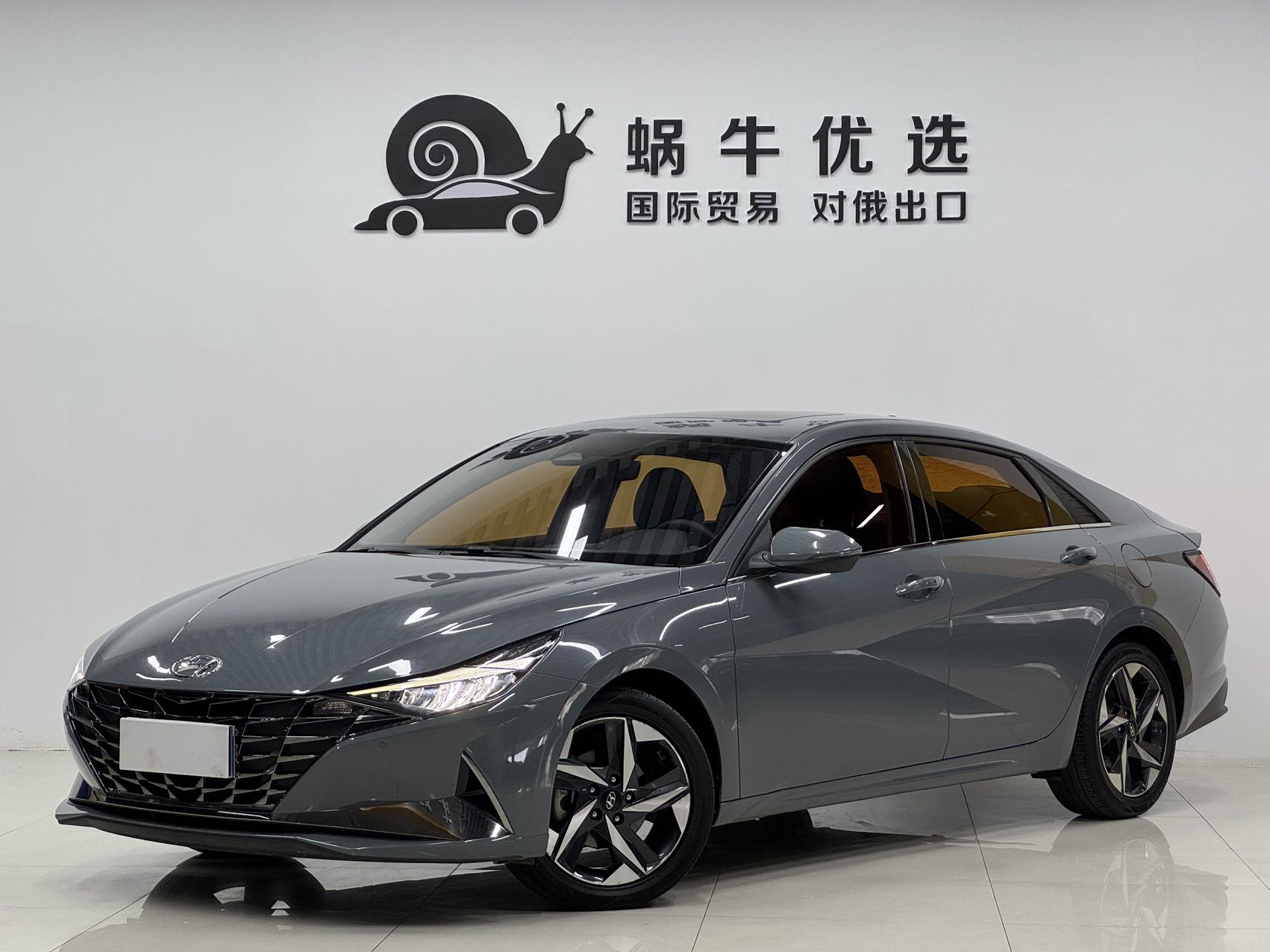 Hyundai Elantra 1.5L CVT LUX Premium Edition