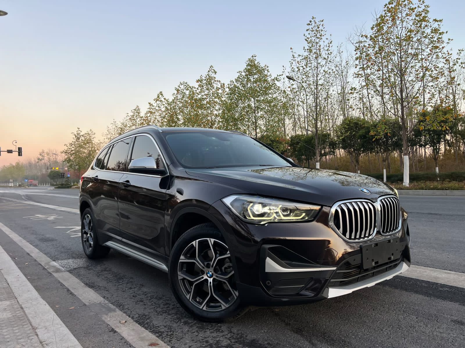 BMW X1  20 Premium Edition